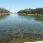 The reflecting pool and the Washington Monument
